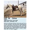 Image 1 : Festus - SELLS CHOICE WITH 29