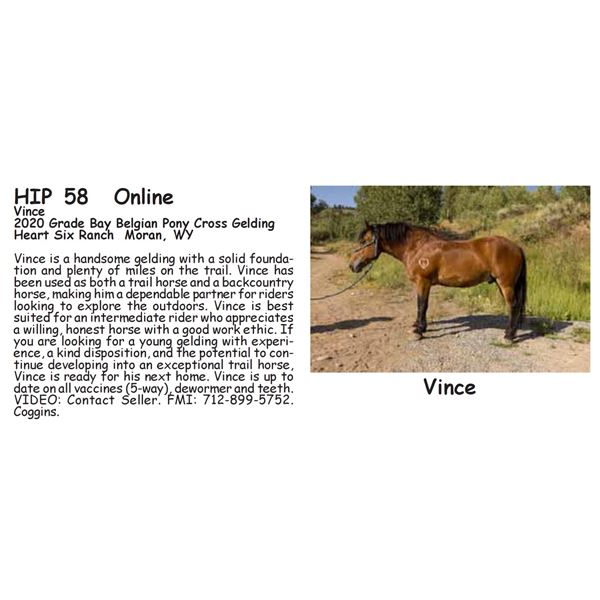 Vince