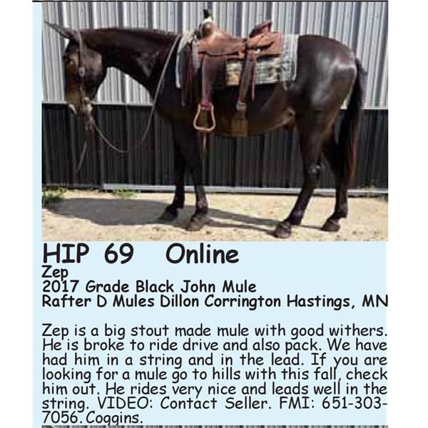 Zep