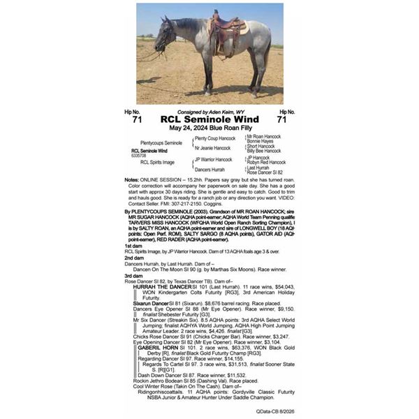 RCL Seminole Wind