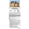 Image 1 : RCL Seminole Wind