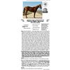 Image 1 : Thirty Eight Special