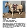 Image 1 : Apache