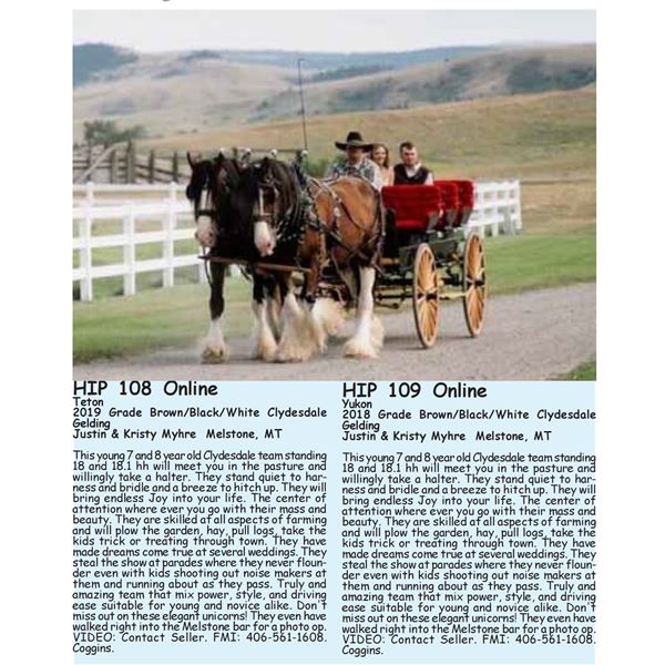 Yukon - SELLS 2x THE $!