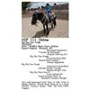 Image 1 : Big Sky Dun Jorge