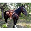 Image 3 : Pancho