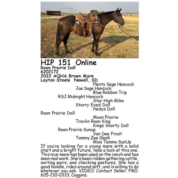 Roan Prairie Doll