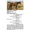 Image 1 : Roan Prairie Doll