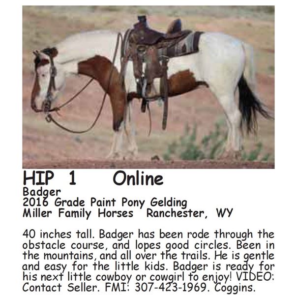 Badger