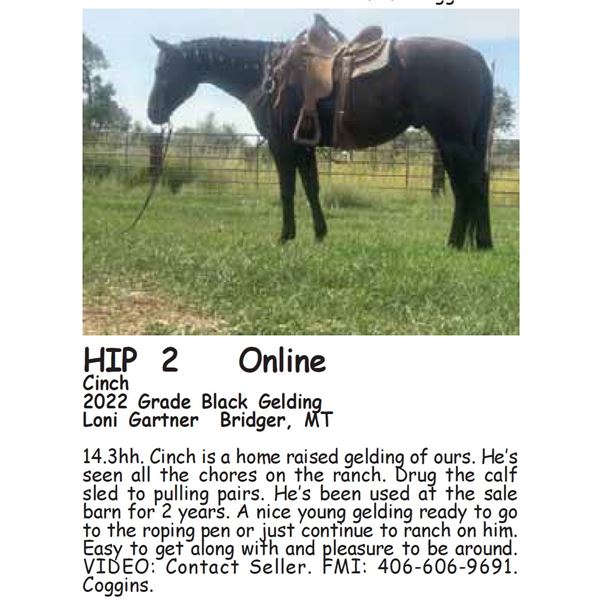 Cinch