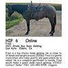 Image 1 : Fred