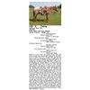 Image 1 : Northern Boon Doc