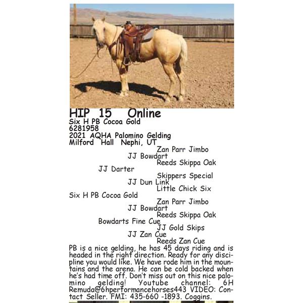 Six H PB Cocoa Gold