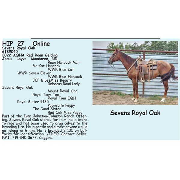 Sevens Royal Oak