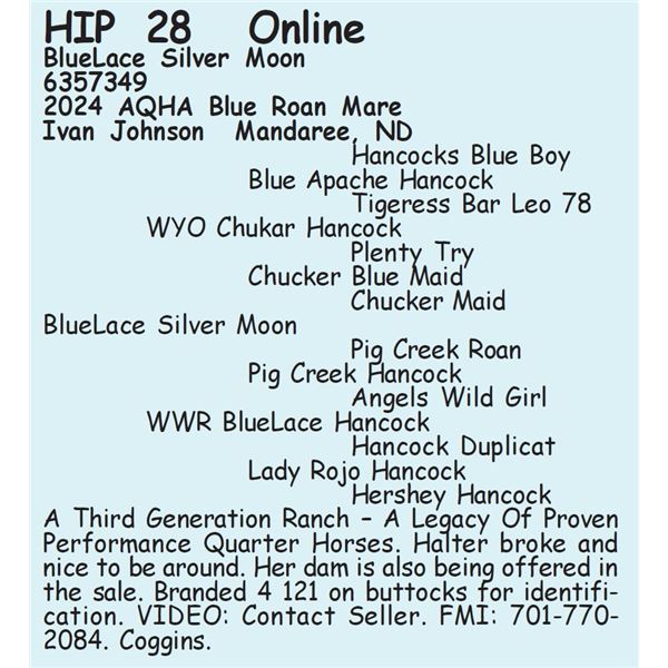 BlueLace Silver Moon