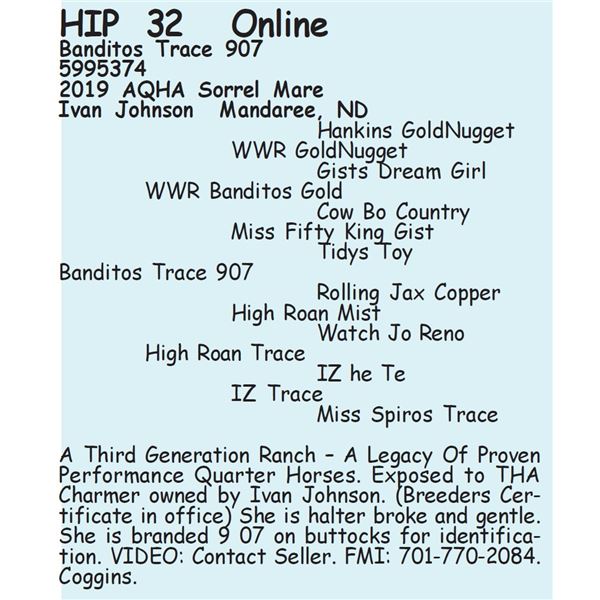 Banditos Trace 907