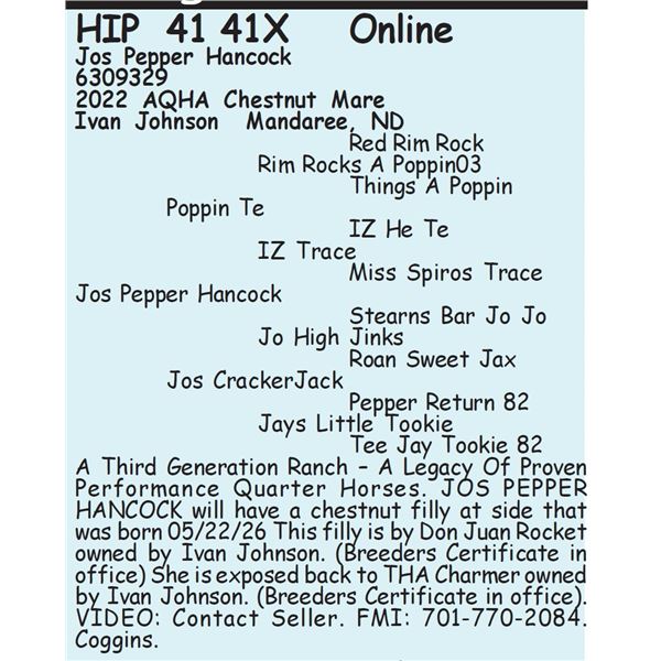 Jos Pepper Hancock - SELLS WITH FOAL