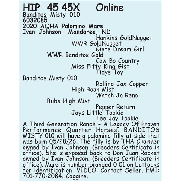 Banditos Misty 010 - SELLS WITH FOAL