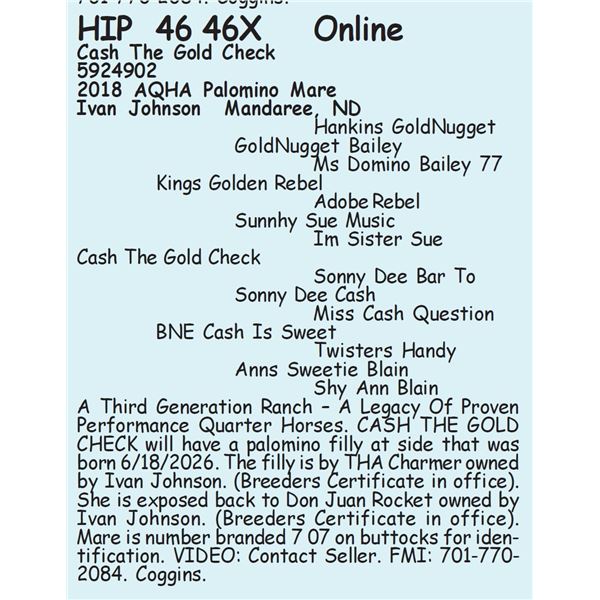 Cash The Gold Check - SELLS WITH FOAL
