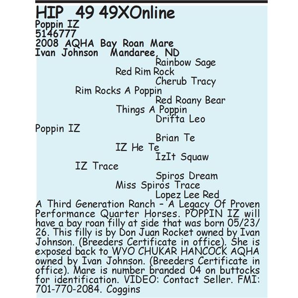 Poppin IZ - SELLS WITH FOAL
