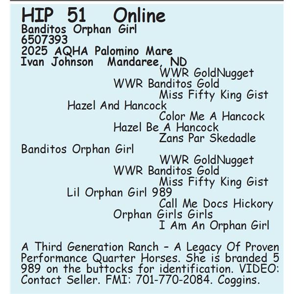 Banditos Orphan Girl