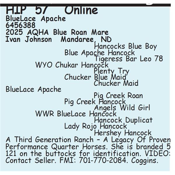 BlueLace Apache