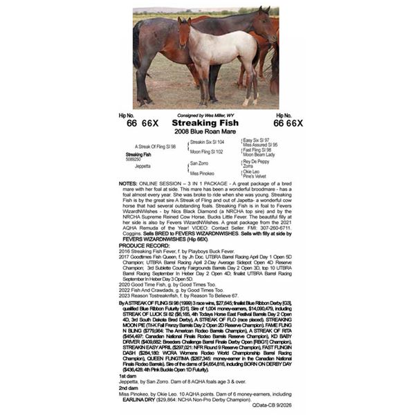 Steaking Fish - SELLS WITH FOAL