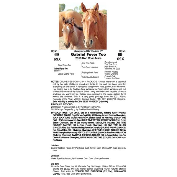 Gabriel Fever Too - SELLS WITH FOAL