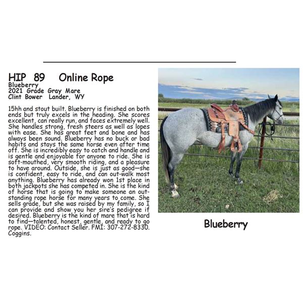 Blueberry