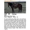 Image 1 : Dolly