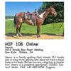 Image 1 : Henry