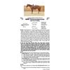 Image 1 : WWR ThisOnesAPorsche
