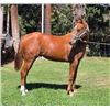Image 5 : Believa Lena