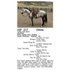 Image 1 : Tyree Two Guns