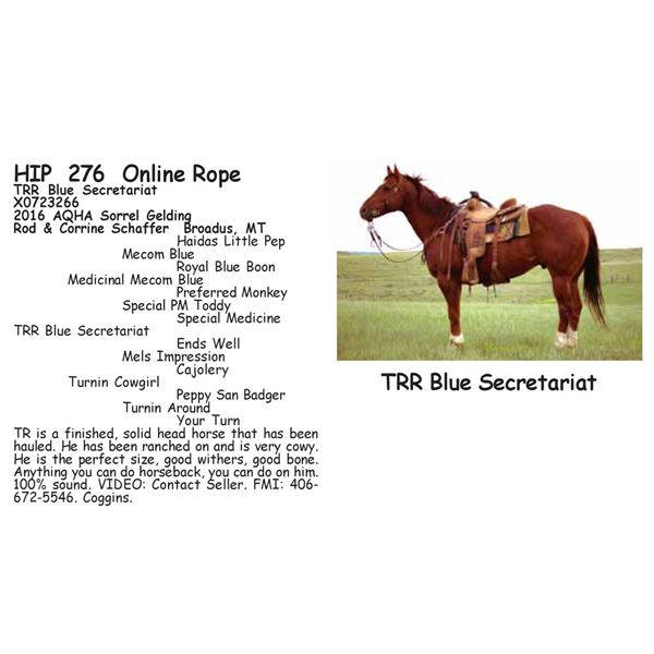 TRR Blue Secretariat