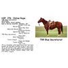 Image 1 : TRR Blue Secretariat