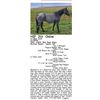 Image 1 : Lil Blue Cash