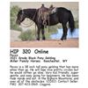 Image 1 : Pecos