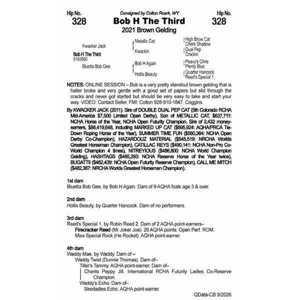 Bob H The Third