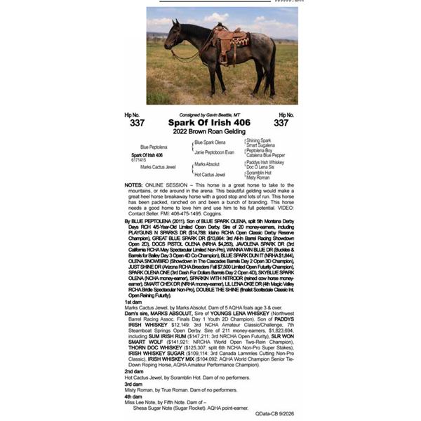 Spark Of Irish 406