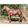 Image 2 : Prize Red Penny