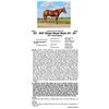 Image 1 : DCF Stepn Royal Style