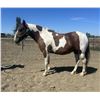 Image 3 : Luna