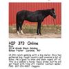Image 1 : Rico