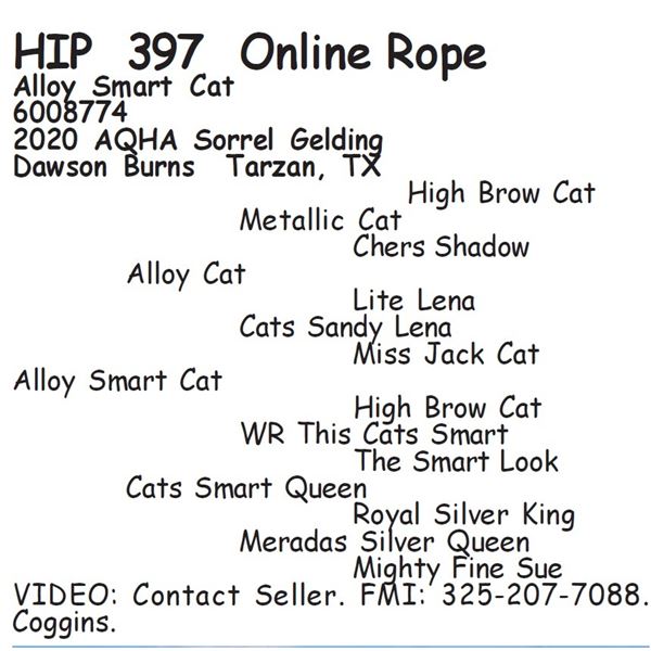Alloy Smart Cat