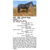 Image 1 : Hickorys Black Hair