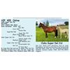 Image 1 : Oaks Super Del Cid