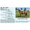 Image 1 : Frosty Hickory Tiger