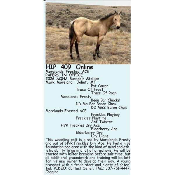 Morelands Frosted ACE