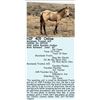 Image 1 : Morelands Frosted ACE